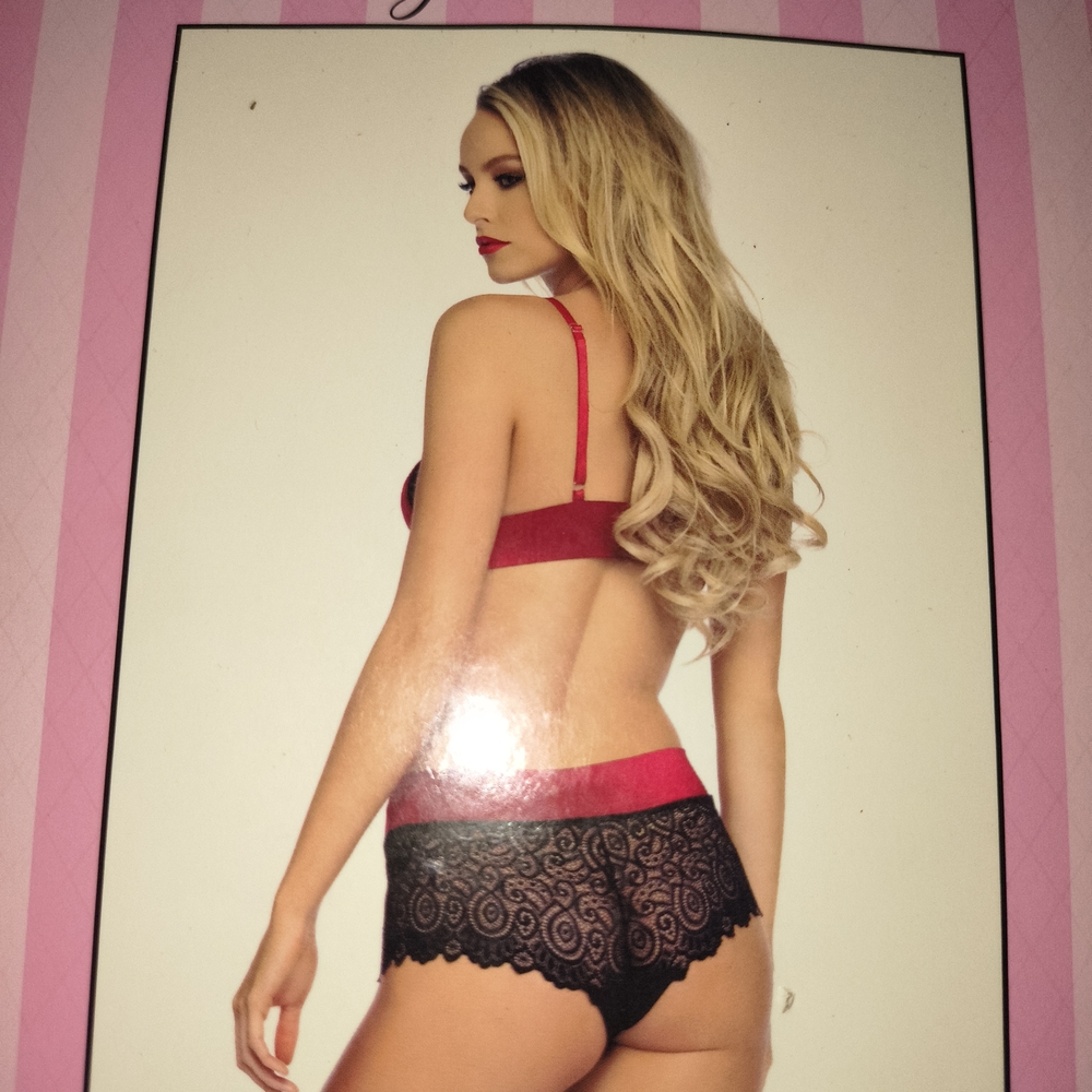 Leg Avenue Scarlet and Ebony Lace Bra